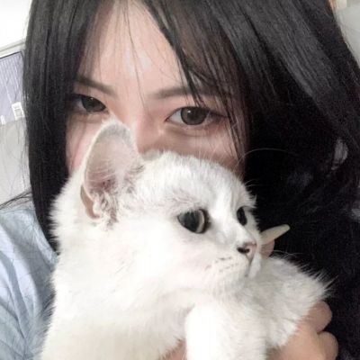 枫叶战纪游戏